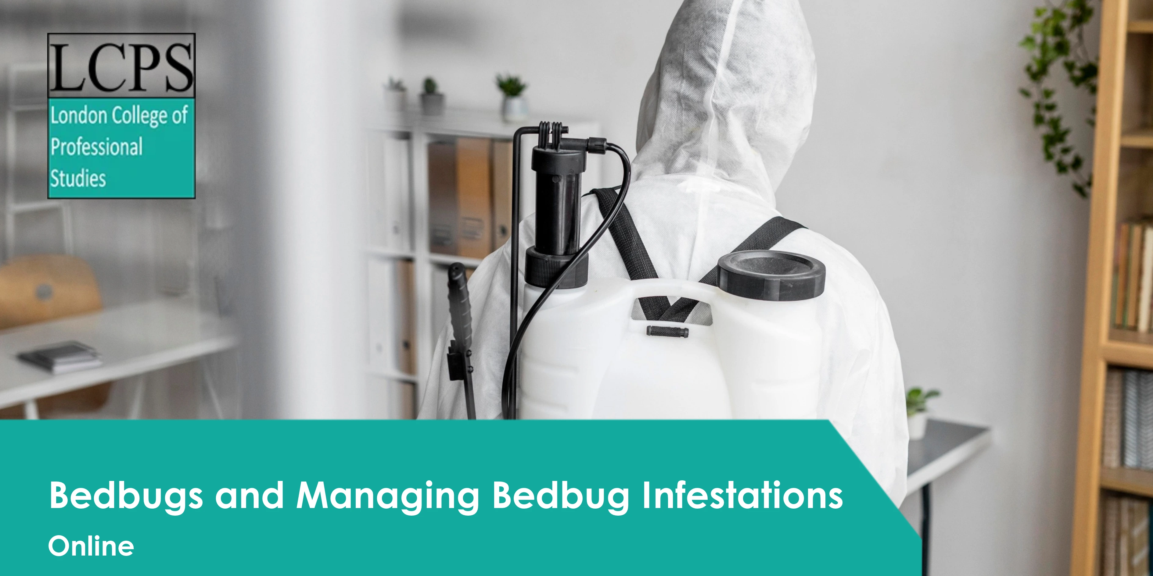 Bedbugs and Managing Bedbug Infestations