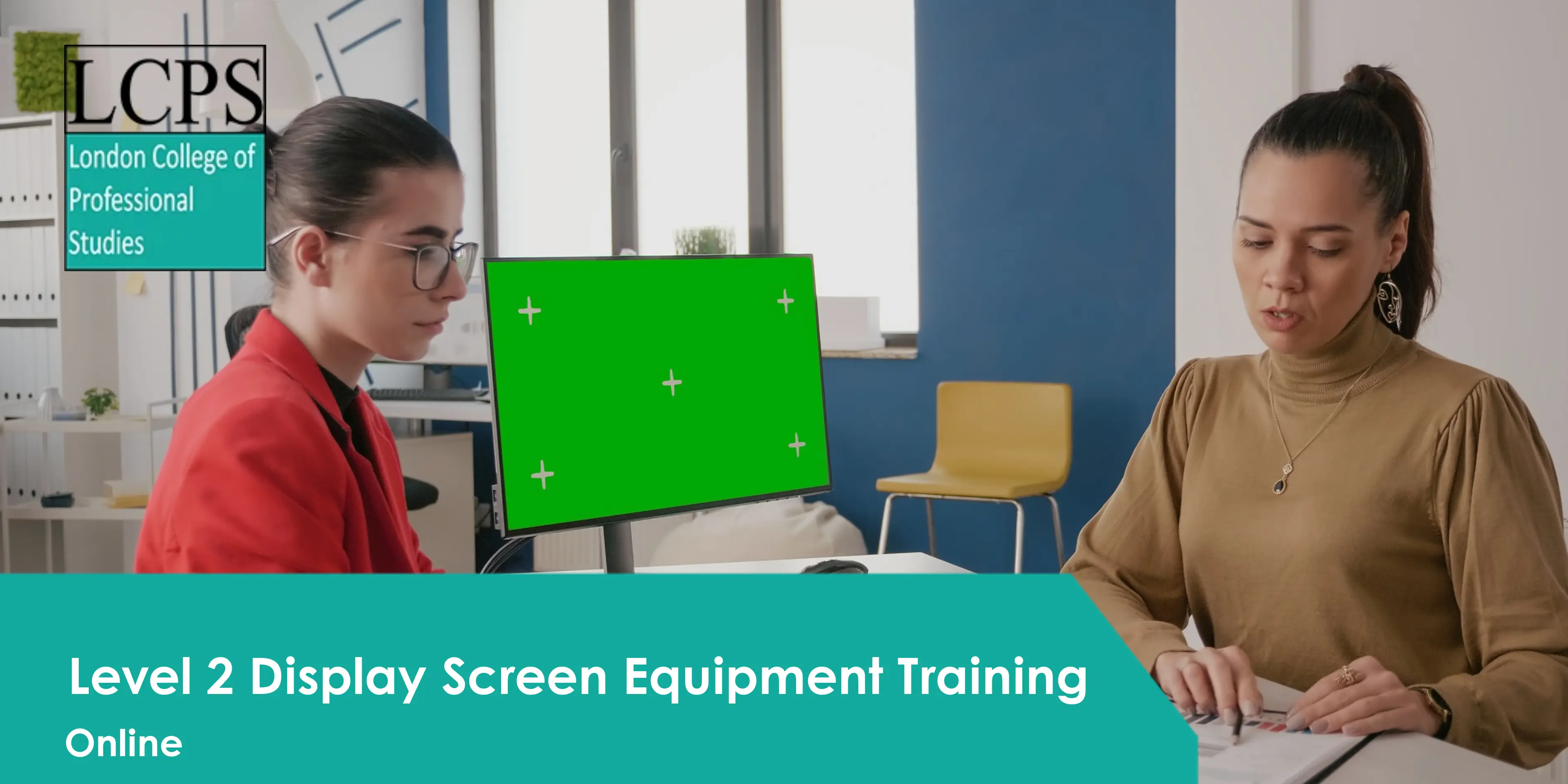 Level 2 Display Screen Equipment Training